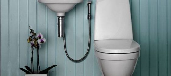 Toilet bidet shower with mixer