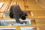 Floor insulation in a wooden house from below