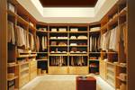 Dressing rooms: design projects, photos