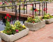 Concrete outdoor flowerpots