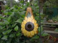 Pumpkin birdhouse