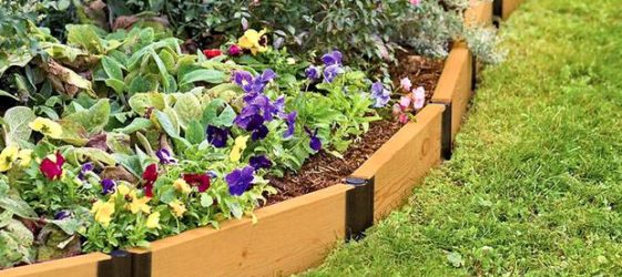 Beds made of plastic boards