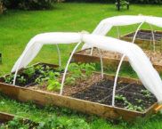 Greenhouses from arcs with covering material