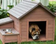 How to make a dog booth with your own hands