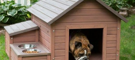 How to make a dog booth with your own hands