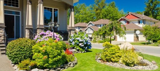 Landscaping of the courtyard of a private house: photo