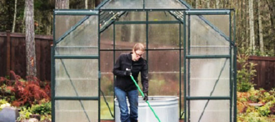 Greenhouse processing in autumn